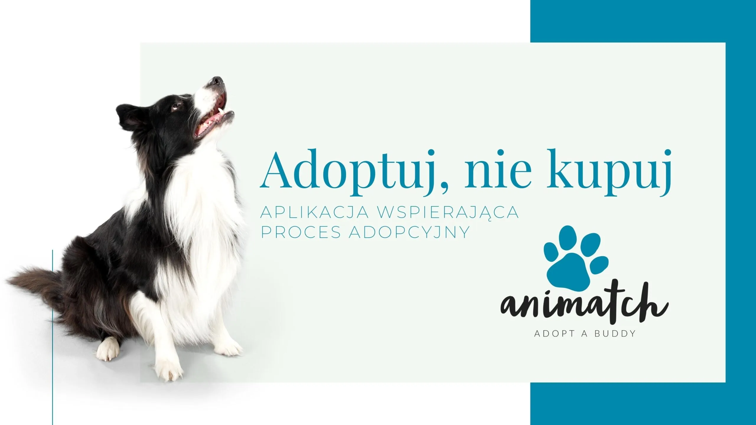 Dżej Dżej